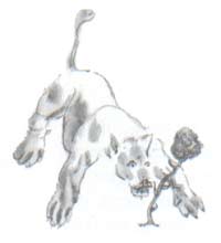 《小王子》童话小说